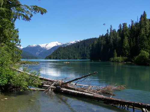 Whistler
