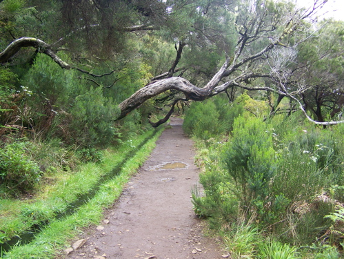 Wanderweg