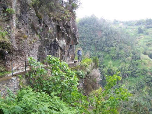 Levada