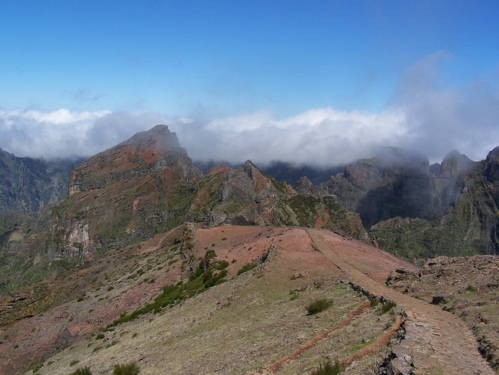 Pico